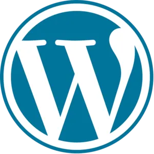 Wordpress website vertalen 300x300